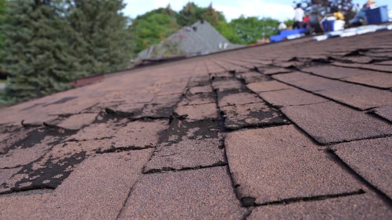 Best Steel Roofing  in Lake Ripley, WI