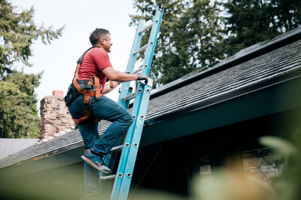  Lake Ripley, WI Roofing Service Pros