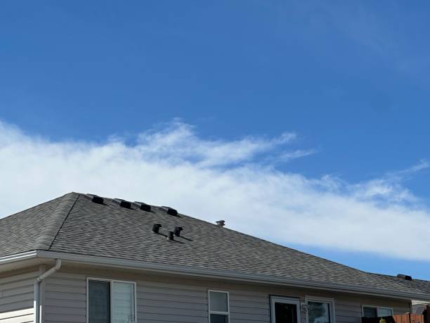 Steel Roofing in Lake Ripley, WI